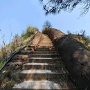 天台山 - 遵义旅游 缩略图 7