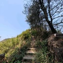 天台山 - 遵义旅游 缩略图 6