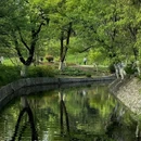 逍遥津公园 - 合肥市旅游 缩略图 4