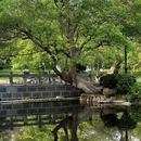 逍遥津公园 - 合肥市旅游 缩略图 6