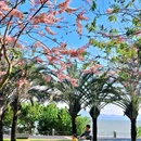 深圳湾公园 - 深圳市旅游 缩略图 9