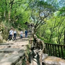 黄葛古道 - 重庆市旅游 缩略图 4