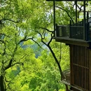 黄葛古道 - 重庆市旅游 缩略图 2