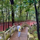 黄葛古道 - 重庆市旅游 缩略图 9