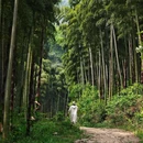 东明山森林公园 - 杭州市旅游 缩略图 2