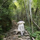 东明山森林公园 - 杭州市旅游 缩略图 4