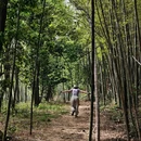 东明山森林公园 - 杭州市旅游 缩略图 5
