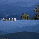 东明山森林公园 - 杭州市旅游 缩略图 6