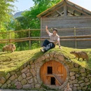 齐云山景区 - 黄山市旅游 缩略图 8