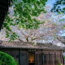 况公祠 - 苏州市旅游 缩略图 4