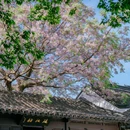 况公祠 - 苏州市旅游 缩略图 2