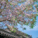 况公祠 - 苏州市旅游 缩略图 6