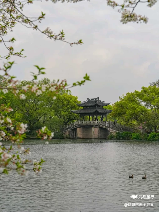 苏堤 - 杭州市旅游