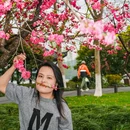 苏堤 - 杭州市旅游 缩略图 6