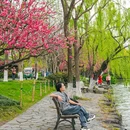 苏堤 - 杭州市旅游 缩略图 2