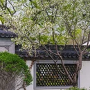 苏堤 - 杭州市旅游 缩略图 6