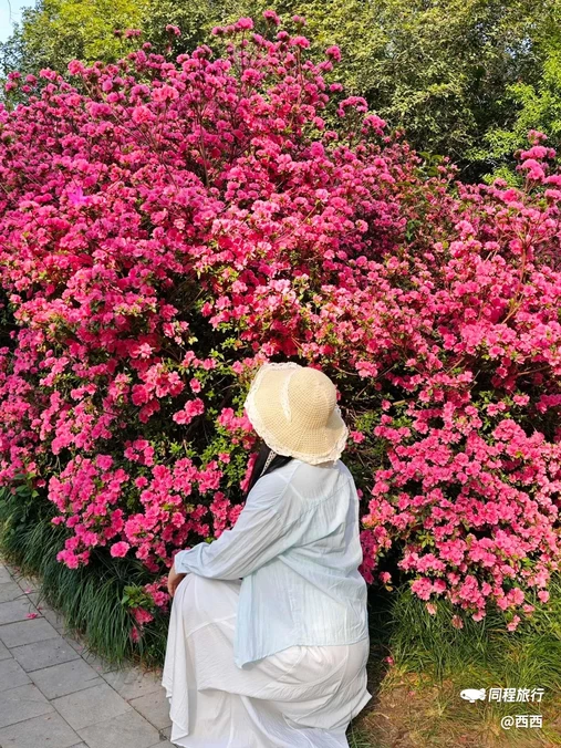 东湖听涛风景区 - 武汉旅游