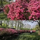 东湖听涛风景区 - 武汉旅游 缩略图 2