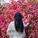 东湖听涛风景区 - 武汉旅游 缩略图 6