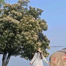 东湖听涛风景区 - 武汉旅游 缩略图 9