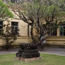 岘港 - 越南旅游 缩略图 7