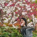 苏堤 - 杭州市旅游 缩略图 2