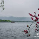 苏堤 - 杭州市旅游 缩略图 8