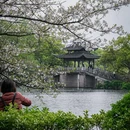 柳浪闻莺 - 杭州市旅游 缩略图 3