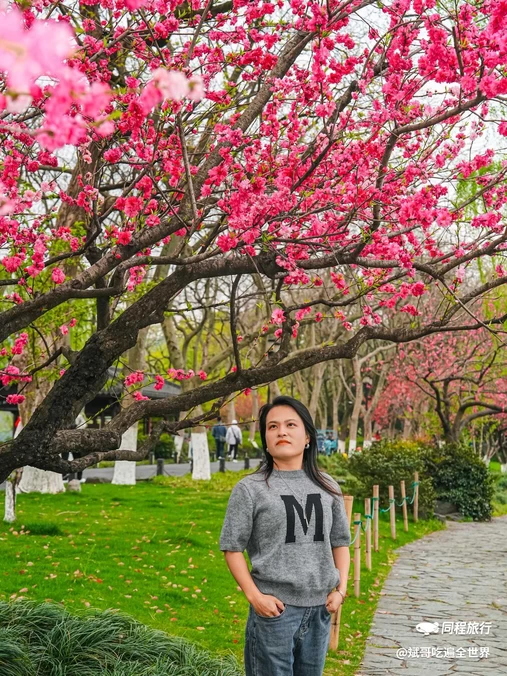 柳浪闻莺 - 杭州市旅游