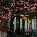 柳浪闻莺 - 杭州市旅游 缩略图 7