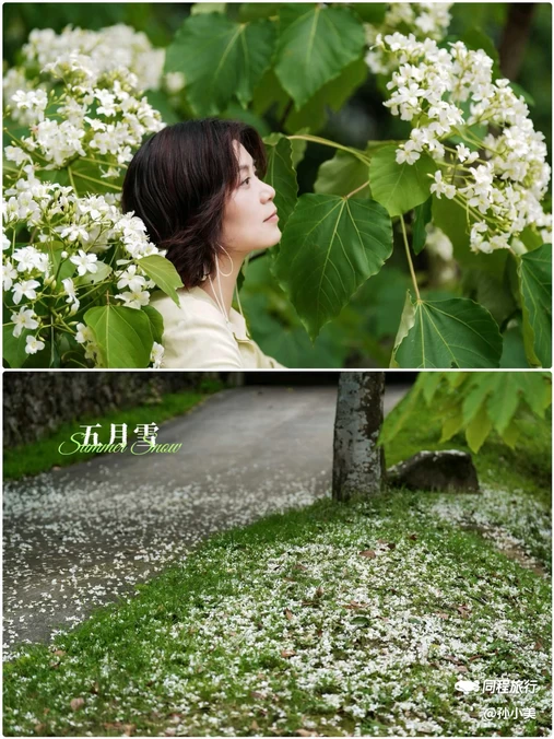 二龙山生态园 - 广州市旅游