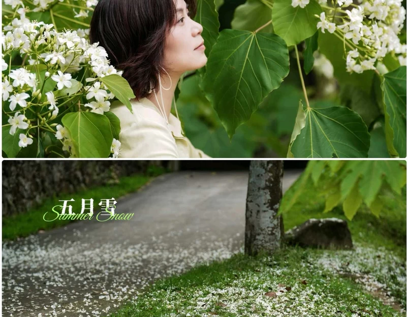 二龙山生态园 - 广州市旅游 1