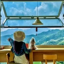 云和梯田景区 - 丽水市旅游 缩略图 4