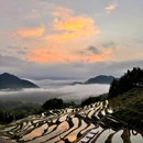 云和梯田景区 - 丽水市旅游 缩略图 6