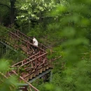 郑州水墨香山旅游区 - 郑州市旅游 缩略图 1