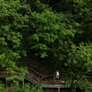 郑州水墨香山旅游区 - 郑州市旅游 缩略图 8