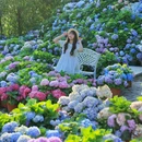香遇百花园 - 东莞市旅游 缩略图 4