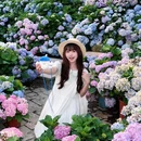 香遇百花园 - 东莞市旅游 缩略图 9