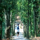 麓隐青竹湖山湖会客厅 - 长沙市旅游 缩略图 4