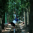 麓隐青竹湖山湖会客厅 - 长沙市旅游 缩略图 3