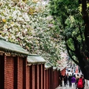 沙面岛 - 广州市旅游 缩略图 6
