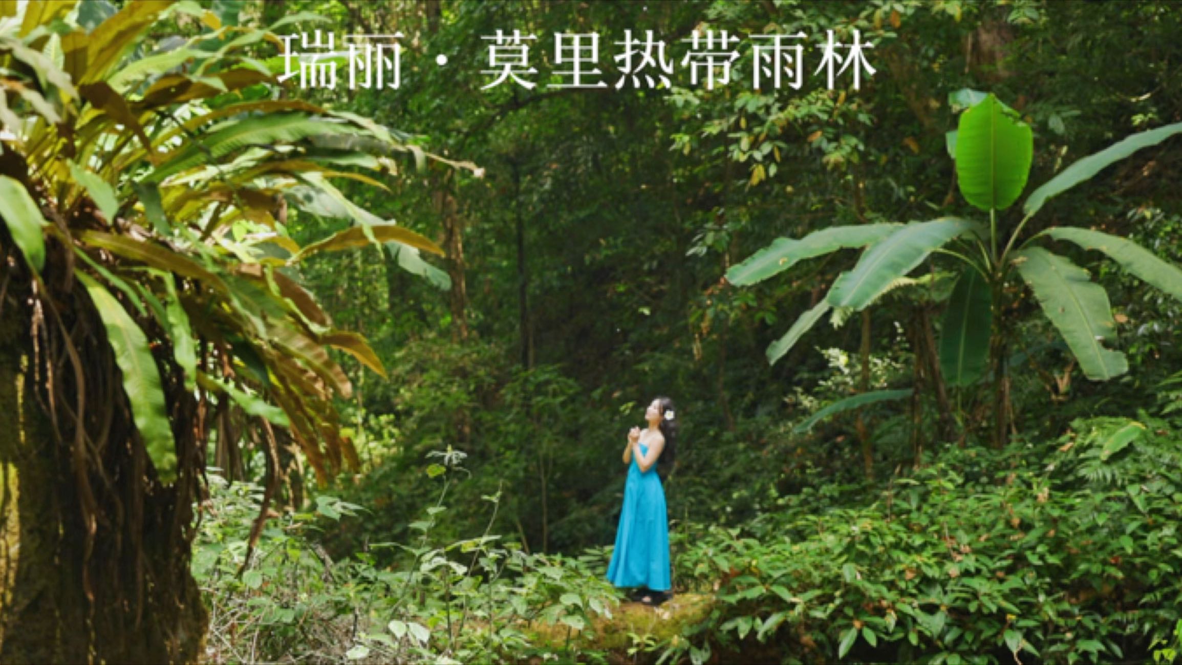 瑞丽莫里热带雨林景区 - 德宏傣族景颇族自治州旅游