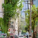 北顺城街 - 成都市旅游 缩略图 6