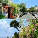 栈桥景区 - 青岛市旅游 缩略图 7