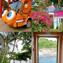 蜈支洲岛 - 三亚市旅游 缩略图 5