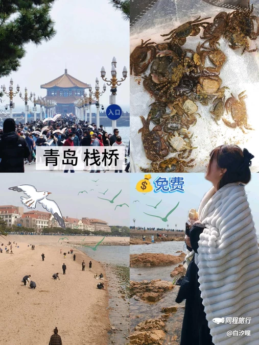 青岛栈桥海水浴场 - 青岛市旅游