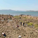青岛栈桥海水浴场 - 青岛市旅游 缩略图 5