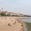 青岛栈桥海水浴场 - 青岛市旅游 缩略图 6