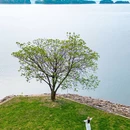 江西前湖迎宾馆 - 南昌市旅游 缩略图 2