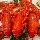 狮王府淮扬菜(江北虹悦城店) - 南京市旅游 缩略图 4